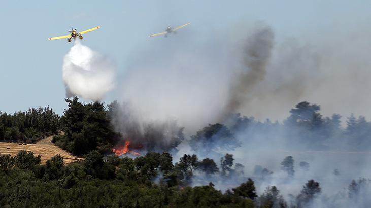 Türkiye’de Orman ve Tarım Arazilerinde Meydana Gelen Yangınlar ve Müdahale Çalışmaları