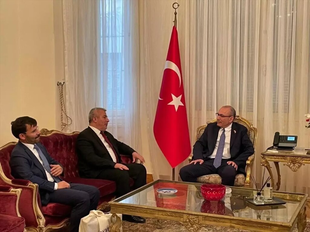 Türkiye’nin Mısırlı Öğrencilere Yönelik Uluslararasılaşma Stratejisi ve Eğitim İşbirlikleri