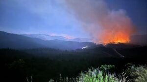 AFAD ve İş Birliğiyle Suriye ve Hatay’daki Yangın Müdahale Çalışmaları