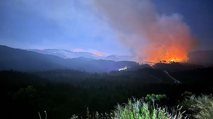 AFAD ve İş Birliğiyle Suriye ve Hatay’daki Yangın Müdahale Çalışmaları