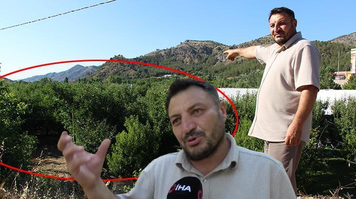 Amasya’da Don Felaketinin Ardından Meyve Sevinci