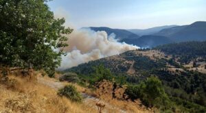 Balıkesir ve Bursa’daki Orman Yangınına Hızlı Müdahale