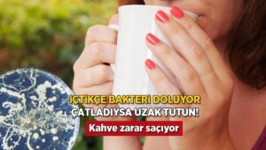 Çatlak Porselen ve Seramik Ürünlerin Sağlığa Olan Riskleri