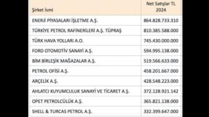 Fortune 500 Türkiye 2024: Ekonomik Zorluklara Rağmen Büyüme ve İstihdam Odaklı Stratejiler