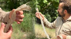 Hakkari ve İlçelerinde Öğretmen Ümit Bartın’dan Doğa Harikası Keşif