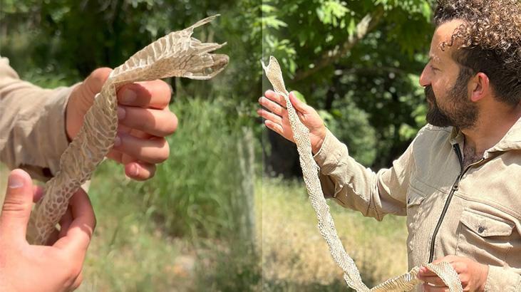 Hakkari ve İlçelerinde Öğretmen Ümit Bartın’dan Doğa Harikası Keşif