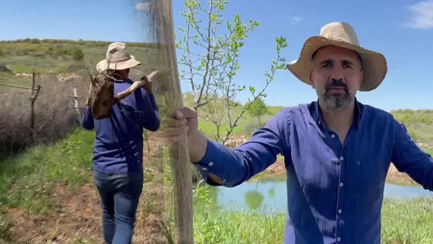 Harun Tutuş’un Ağaç Sevgisi ve Doğa İçin Yaptıkları