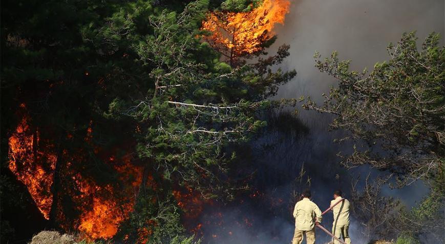 Hatay’daki Orman Yangınıyla İlgili Güncel Bilgilendirme ve Çalışmalar