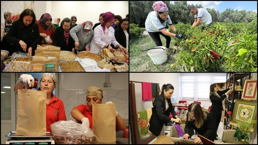 Kadın Kooperatiflerine Destek ve Gelişim Çalışmaları