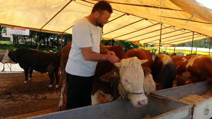 Kurban Bayramı’nda Hayvan Hareketleri ve Şap Hastalığına Karşı Alınan Önlemler