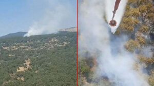 Manisa’da Orman ve Tarım Arazilerinde Yanan Yangınlar