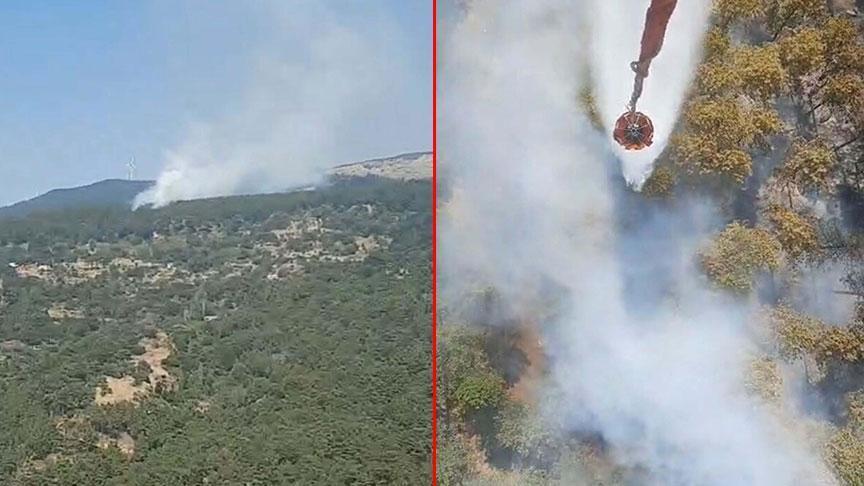 Manisa’da Orman ve Tarım Arazilerinde Yanan Yangınlar