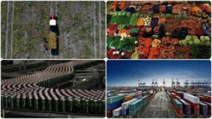 TGDF Mayıs Ayı Dış Ticaret Verileri Raporu: Türkiye’nin Tarım, Gıda ve İçecek Sektöründeki Güncel Durum