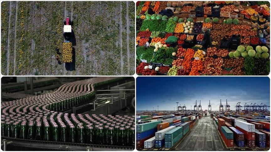 TGDF Mayıs Ayı Dış Ticaret Verileri Raporu: Türkiye’nin Tarım, Gıda ve İçecek Sektöründeki Güncel Durum