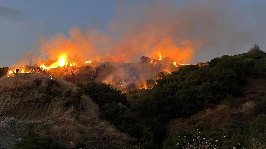 Turgutlu’da Orman ve Tarım Arazisini Vuran Yangın Olayı