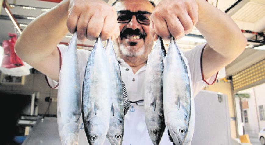 12 Metre Altı Tekneler İçin Palamut Avı: Sezona Yansıyan Değişiklikler ve Tartışmalar