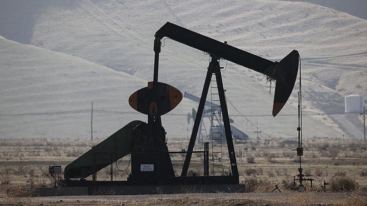 Arz ve Talep Dinamikleriyle Brent Petrolün Aylık Sehirleri: Dalgalanmaların Ardında Jeopolitik ve Piyasa Dengeleri