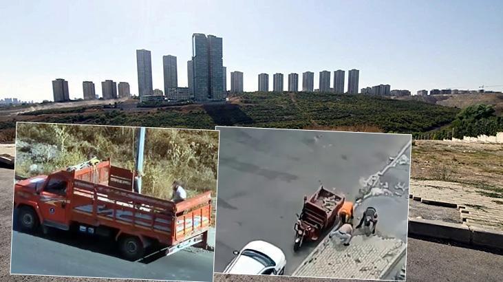 Avcılar ve Bahçelievler’de Kayıtlı Hırsızlık Olayları ve Şüphelilerin Yakalanma Süreci