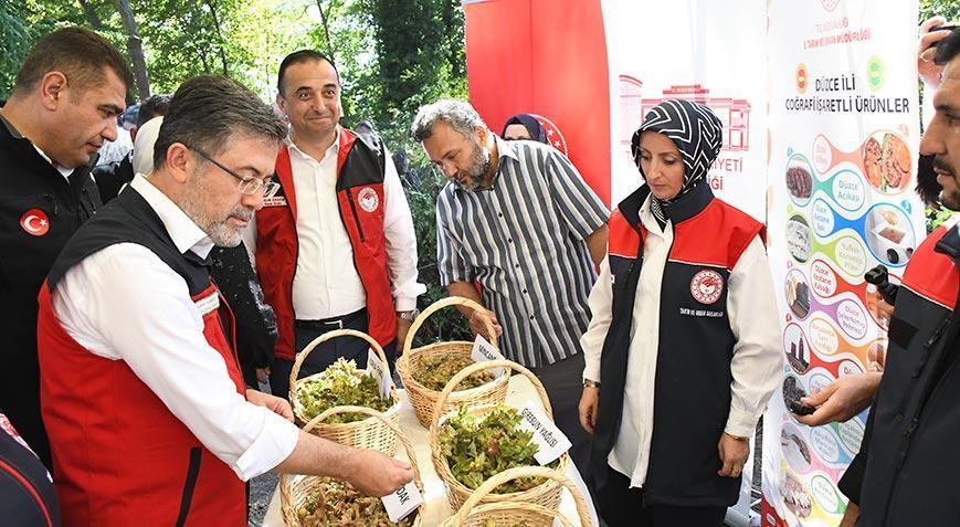 Bakan Yumaklı: Fındıktaki zirai dondan kaynaklı zarar için 2,3 milyar lira tazminat ödenecek