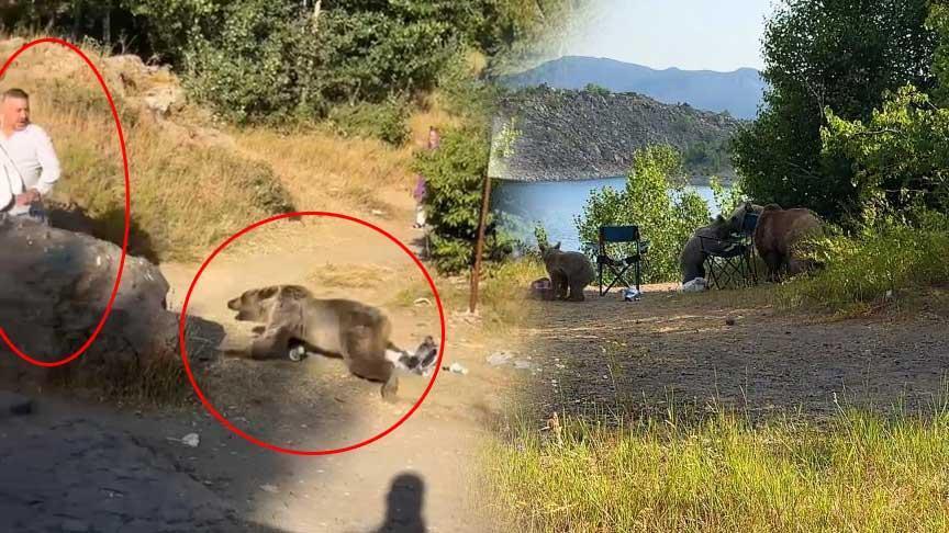 Bitlis’te dehşete düşüren görüntü! Kucağında bebekle ayı saldırısına uğradı