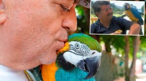 Cabbar ve Metin Suna: 28 Yıllık Dostluğun Yeniden Buluşması