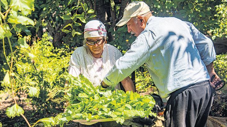 Çiftçiye 2024’te 584 milyar TL ‘sıfır faizli’ kredi