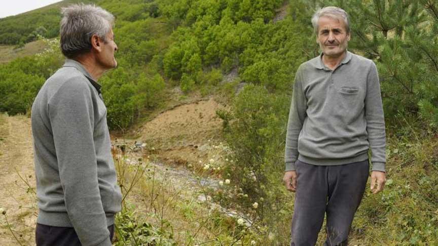 Dağdibi Köyü’nde 40 Yılda 50 Bini Aşan Ağaçlandırma Hikayesi