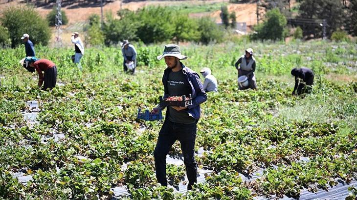 Devlet desteğiyle kuruldu, 50 ülkeye gönderiliyor!