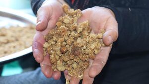 Dut mucizesiyle göz şampuanı: Bolu’da dünyada ilk kez üretildi