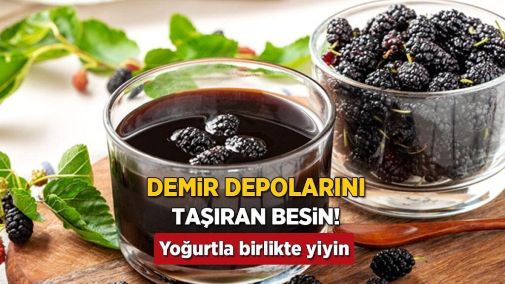 Dut Reçeliyle Demir Dengesini Yeniden Keşfedin: Doğal Güç Kaynağı ve Beslenme Destosu