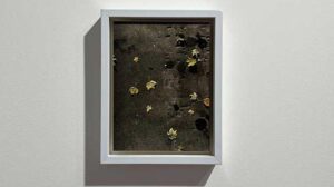 Eğilmeyen Şey, Kırılır: Doğa, Hafıza ve Şehrin Hikâyesi