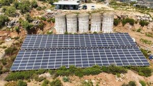 Enerji Maliyetlerini Düşüren Tropikal Meyve Üretim Tesisi: 250 kW GES ile Yatırım Hikayesi