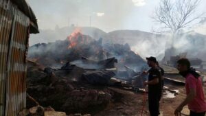 Erzurum ve Bölgesinde Yaygın Orman ve Kıyı Yangınları: Müdahale Sürüyor