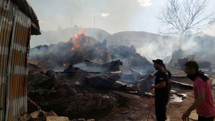 Erzurum ve Bölgesinde Yaygın Orman ve Kıyı Yangınları: Müdahale Sürüyor