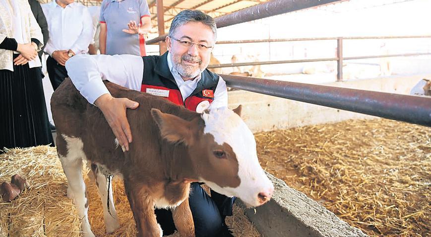 Etçi ve Sütçi Irkları İçin Entegre Üretim Modeli: Yerlilik ve İthalatın Azaltılması