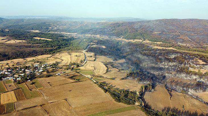 Gelibolu Ilçesi Ilgardere Köyü Yakınlarında Kontrol Altına Alınan Orman Yangını