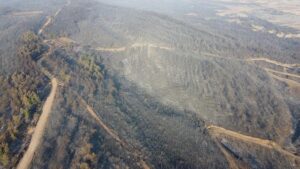 Gelibolu’daki yangının izleri havadan görüntülendi! Çanakkale ormanları küle döndü