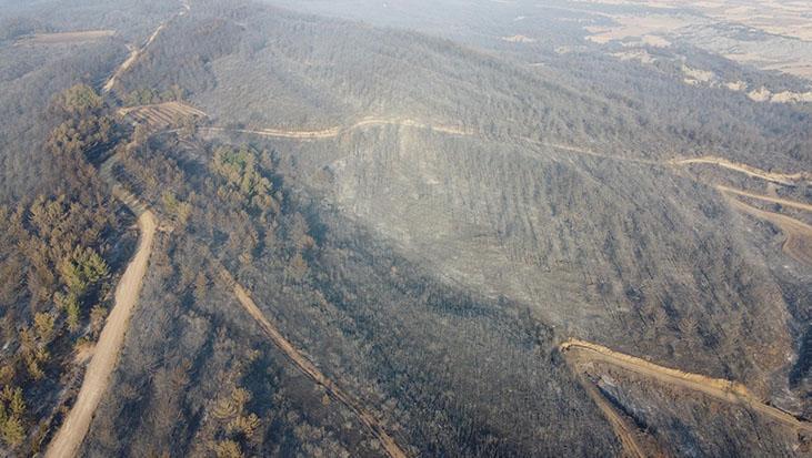Gelibolu’daki yangının izleri havadan görüntülendi! Çanakkale ormanları küle döndü