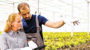 Genç Çiftçiler İçin Stratejiler ve Sürdürülebilir Uygulamalar: Tarımda Gençlik İş Birliğinin Yeni Ufukları