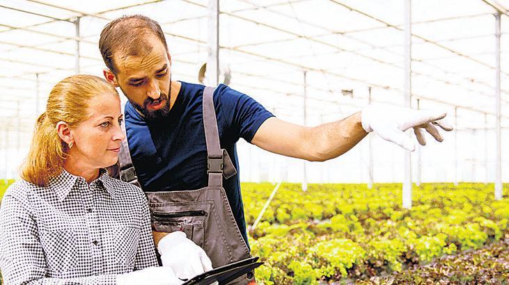 Genç Çiftçiler İçin Stratejiler ve Sürdürülebilir Uygulamalar: Tarımda Gençlik İş Birliğinin Yeni Ufukları