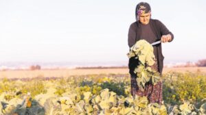 Genç ve Kadın Çiftçilere Yönelik Kapsamlı Teşvikler ve Tarımsal Gençleşme Politikaları