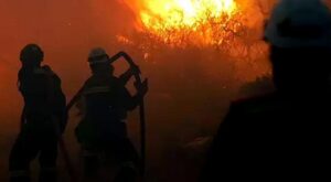 Geniş Ölçekli Orman Yangınları: Türkiye Genelinde Güncel Müdahale Çalışmaları