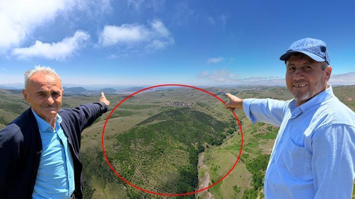 İmeceyle Doğaya Yürünen Yol: 50 Dönümde 25 Bine Yakın Çam Ağaçları ve Suyu Birleştiren Hikaye