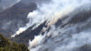 Kocaeli’de orman yangını 2’nci gün: Karadan ve havadan müdahalesi sürüyor