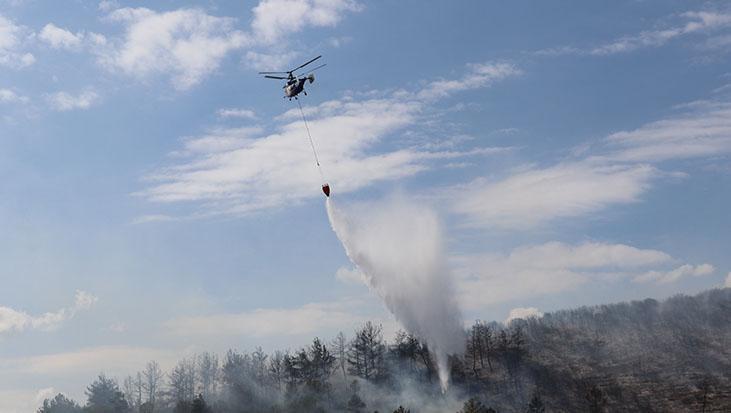 Kocaeli’de Orman Yangını: İzmit ve Çevresinde Müdahale Devam Ediyor