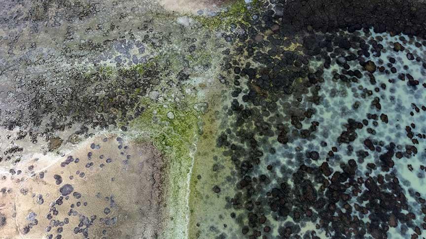 Konya Havzası’nda Baraj ve Göletlerde Kuraklık Tehlikesi: Su Seviyeleri Düşüşte