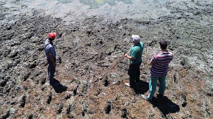 Köy halkı gördüğü manzara karşısında şoke oldu! ‘Ortak bir çözüm planı talep ediyoruz’