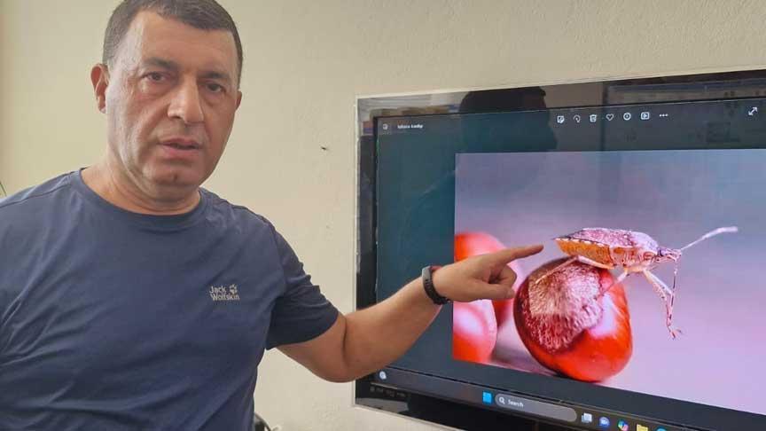 KÜRESEL SALGINA KARŞI BİYOLOJİK MÜCADELEYE ÖNE ÇIKARAN ÖNERİLER: KARADENİZ’DEN Diyarbakır’a Uzanan ZARAR