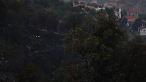 Malatya’daki orman yangını söndürüldü