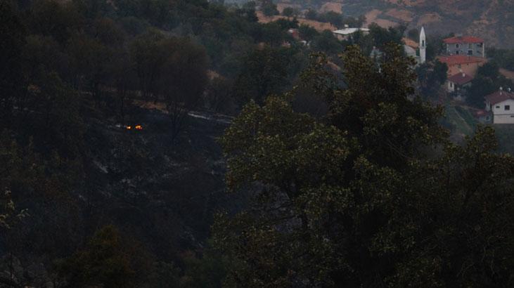 Malatya’daki orman yangını söndürüldü